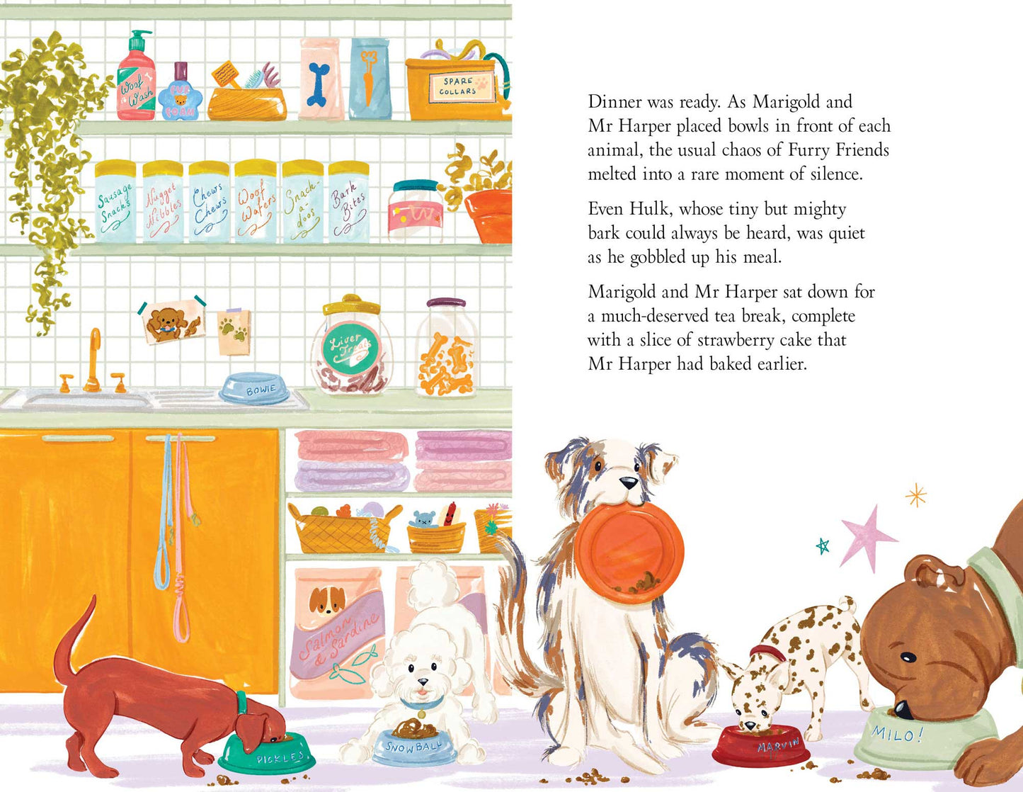 Marigold’s Furry Friends — First Edition Boxset