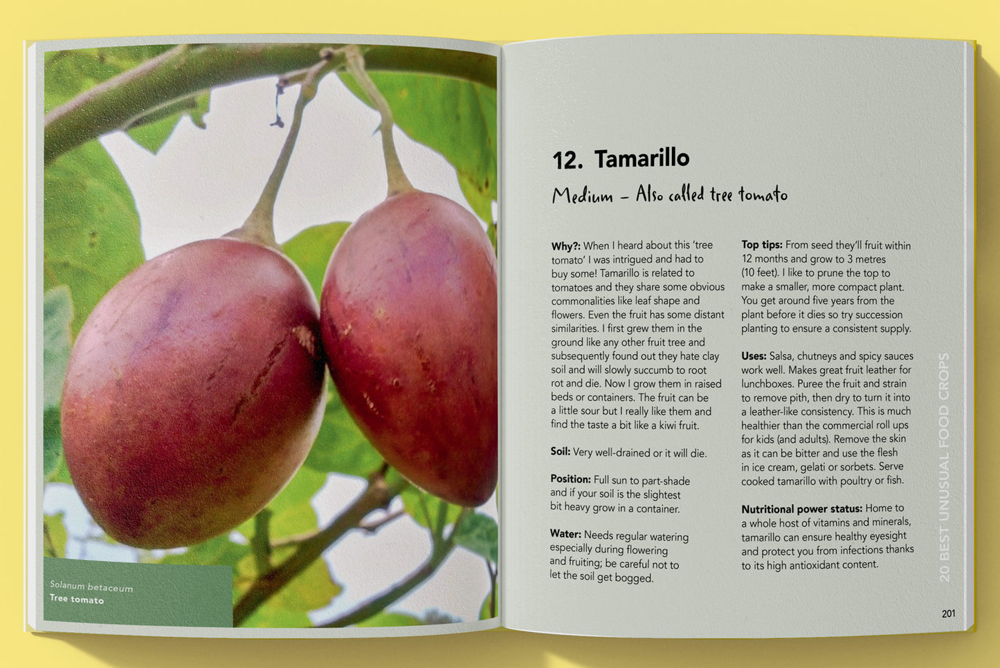 100 Top Crops You Can Grow