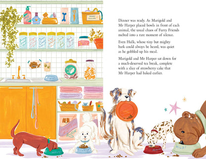 Marigold’s Furry Friends — First Edition Boxset